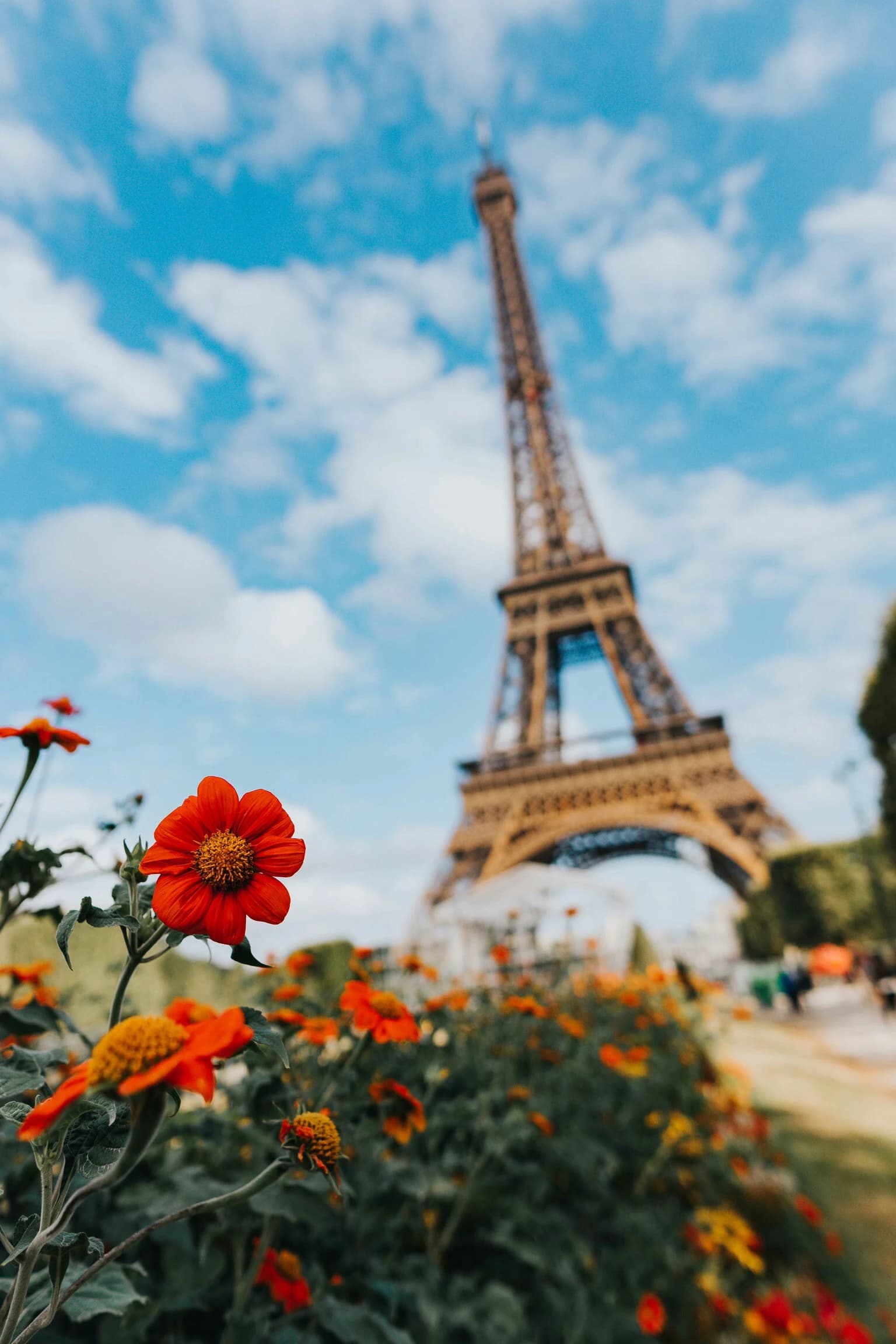Landscape in France - 1